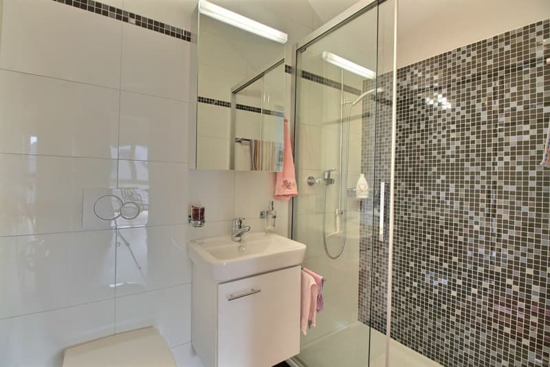 Appartement 4.5 en PPE (7)