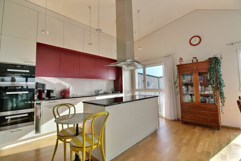 Appartement 4.5 en PPE (1)