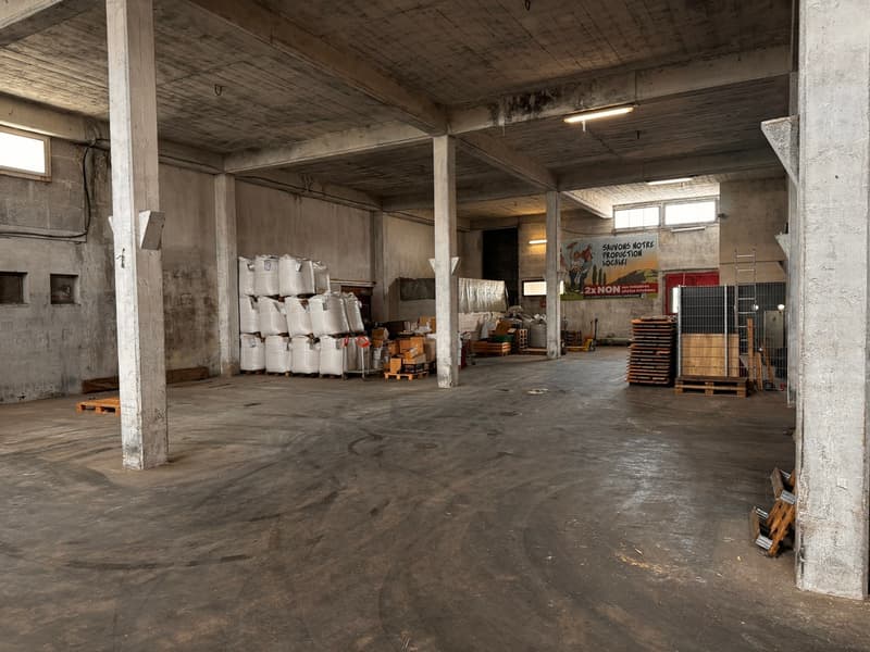 Cugy (FR), in affitto, diverse aree commerciali, uffici e magazzini (3)