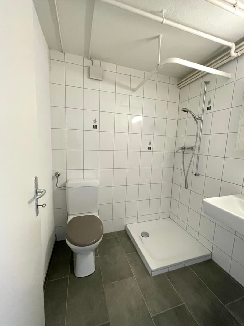 Villars-le-Grand, in vendita, casa ristrutturata di 4.5 locali con terreno (4)