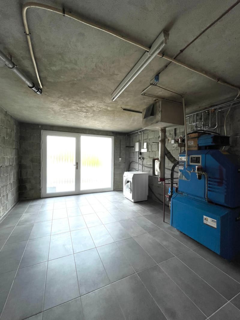 Villars-le-Grand, in vendita, casa ristrutturata di 4.5 locali con terreno (3)