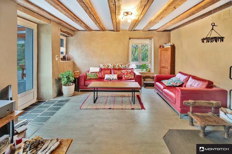 Yvonand, in vendita, casa di carattere + potenziale di ampliamento (4)