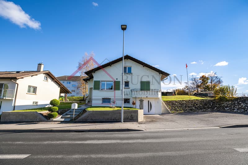 Renovated individual villa with 5.5 rooms and large garden (2)