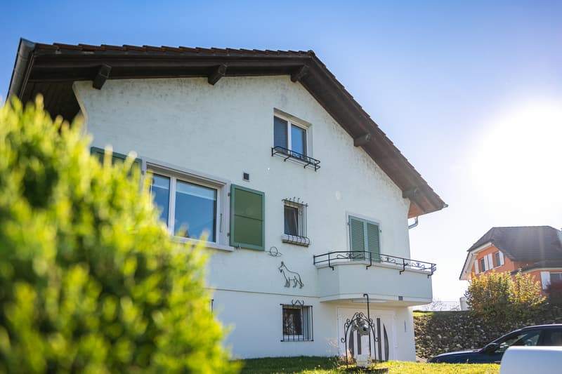 VILLA EINZELSTÄNDIG RENOVIERTE 5.5 ZIMMER MIT GROßEM GARTEN (11)