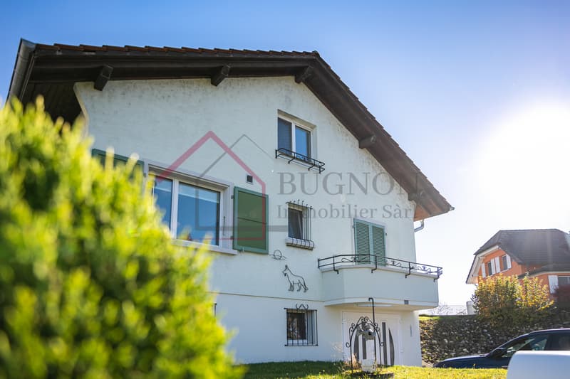 Renovated individual villa with 5.5 rooms and large garden (11)