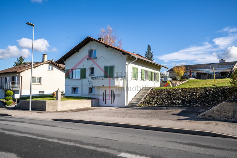 Renovated individual villa with 5.5 rooms and large garden (1)