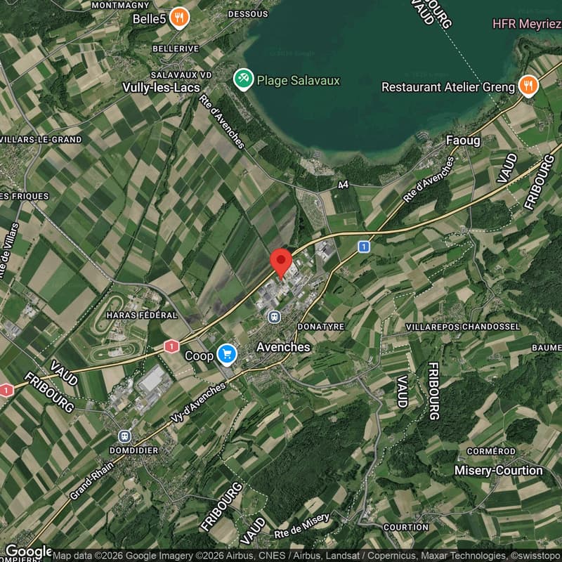 Avenches, zu vermieten, große Industriefläche + Sektionaltore (5)