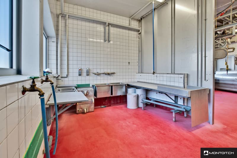 Estavayer-le-Lac, à vendre, bâtiment industriel et artisanal de 200 m2 (8)