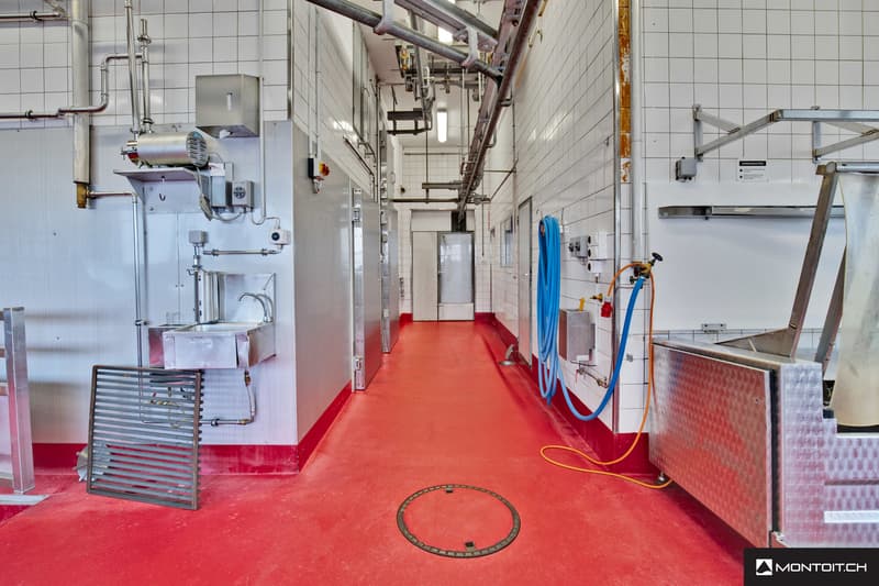 Estavayer-le-Lac, à vendre, bâtiment industriel et artisanal de 200 m2 (4)