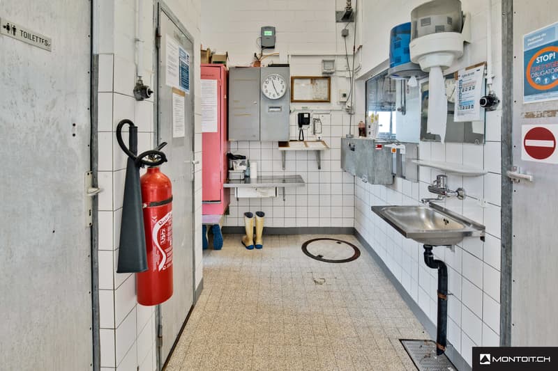 Estavayer-le-Lac, à vendre, bâtiment industriel et artisanal de 200 m2 (7)
