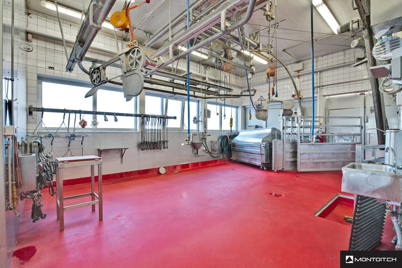 Estavayer-le-Lac, à vendre, bâtiment industriel et artisanal de 200 m2 (5)