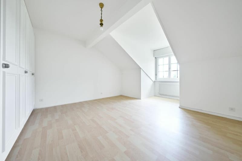 Magnifique appartement de 4.5 pièces en attique - 150m2 (7)