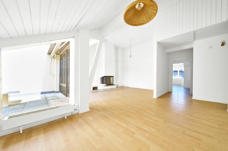 Magnifique appartement de 4.5 pièces en attique - 150m2 (1)