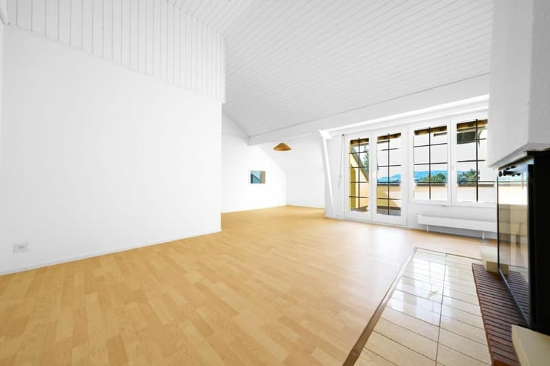 Magnifique appartement de 4.5 pièces en attique - 150m2 (3)