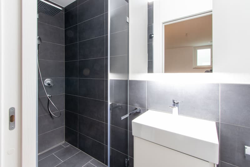 Modernes 7.5-Zimmer-Neubauhaus in Ponthaux - Eleganz & Komfort (11)