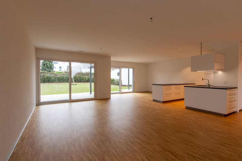 Modernes 7.5-Zimmer-Neubauhaus in Ponthaux - Eleganz & Komfort (3)