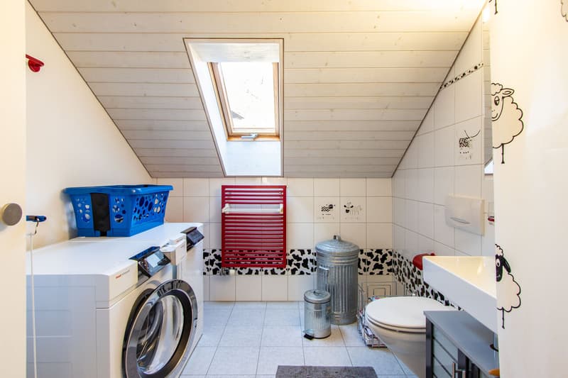 Waschküche / Dusche / WC / Buanderie / Douche / wc