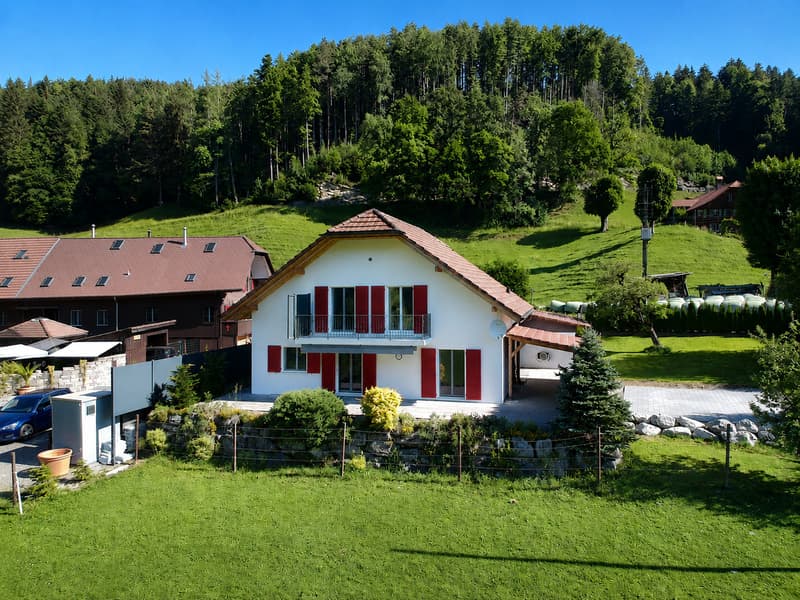 Südfassade