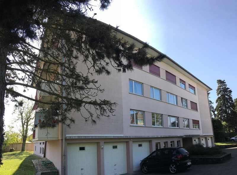 Wohlfühlwohnung an optimaler Lage in Murten (2)
