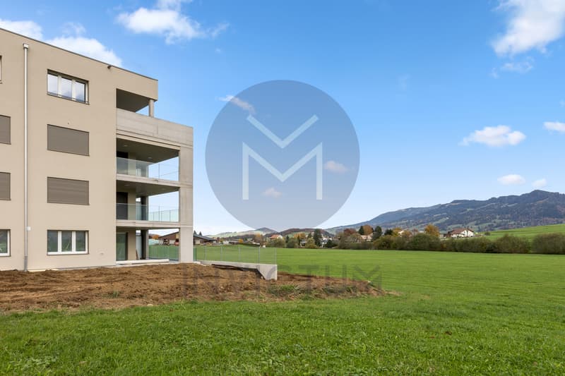 Exceptional attic in Riaz - 67 m² terrace & panoramic view (11)