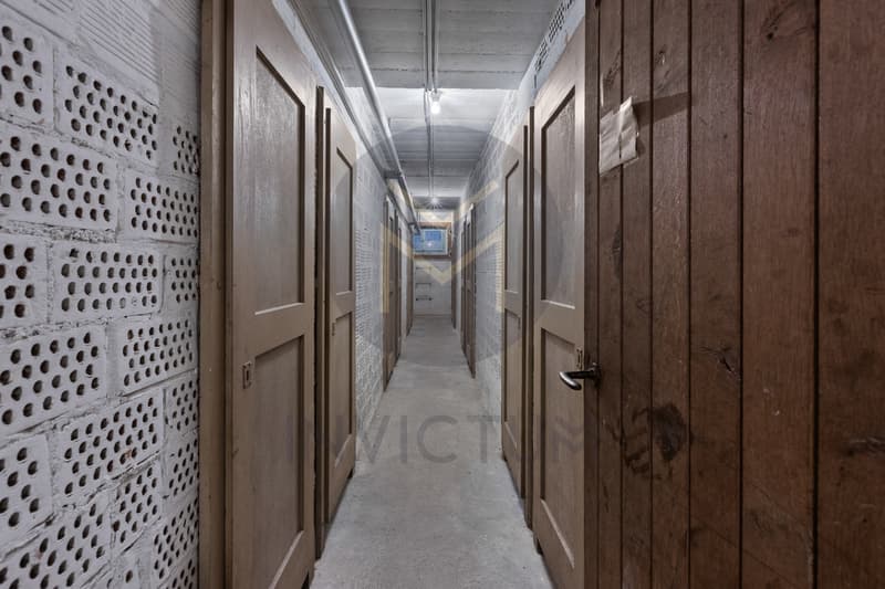 Cave / a long hallway with wooden walls and doors on the floor
