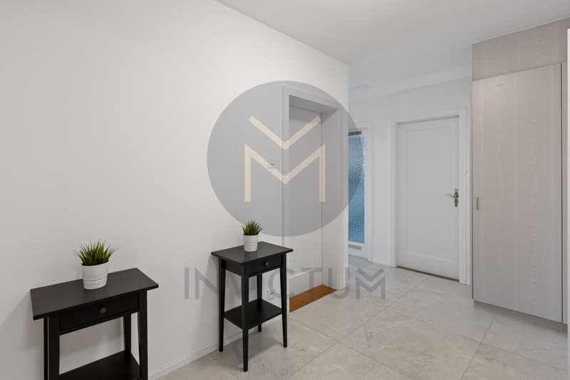 Entrée / an empty room with white walls, a black table with a plant and a door