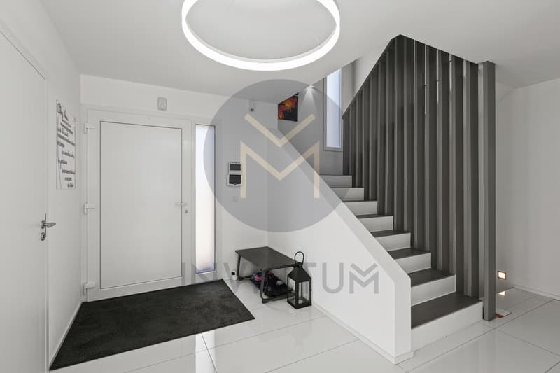 Exceptional contemporary villa with terrace and garden (4)