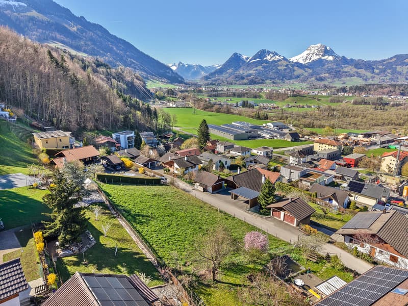Vue magnifique et dégagée sur les montagnes