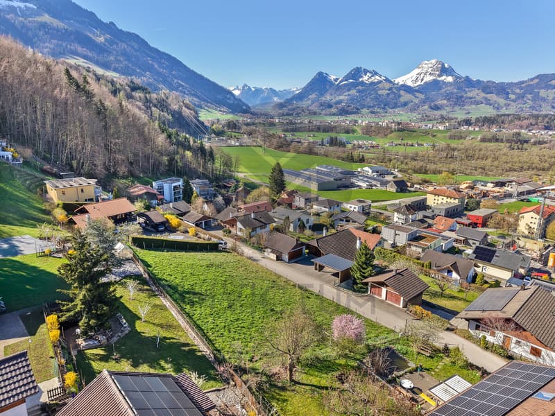 Vue magnifique et dégagée sur les montagnes