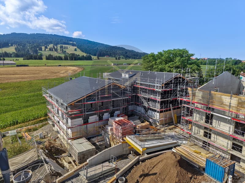 Rez de jardin - www.loreedumoleson.ch - 4.5 105 m2 (3)