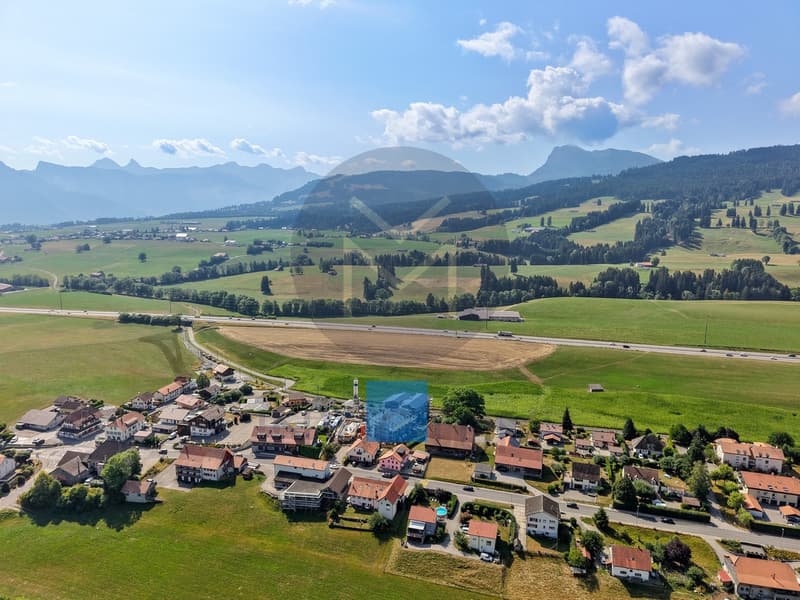 Dernier Attique - www.loreedumoleson.ch - 3.5 85m2 (3)