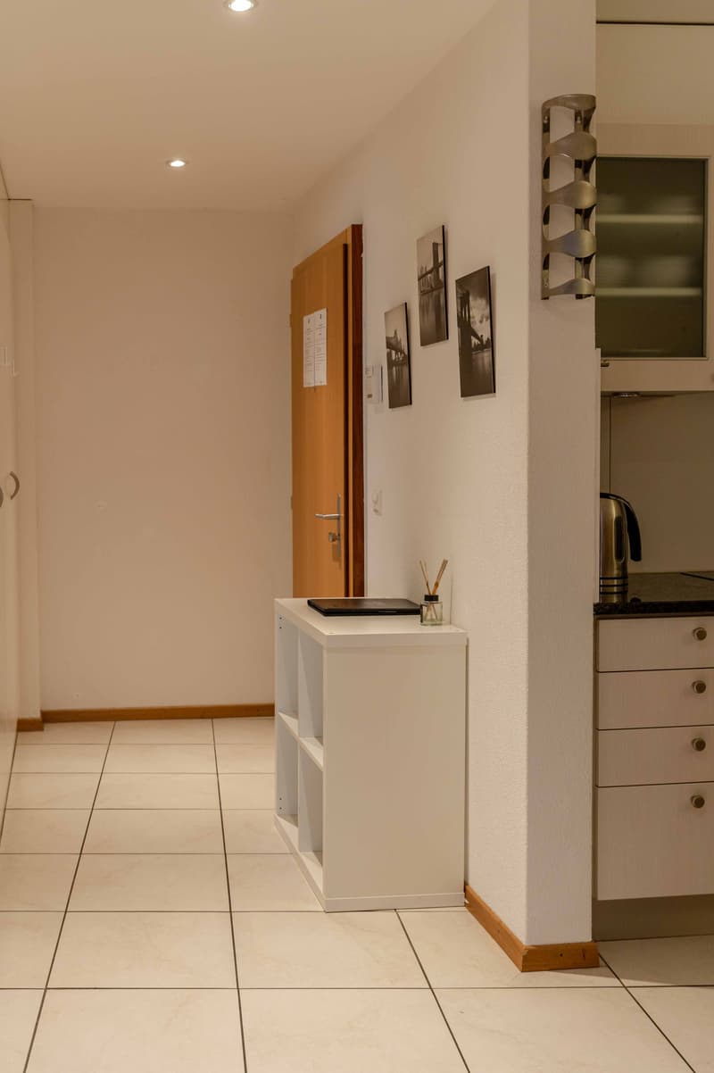 Appartement Moderne 2 Chambres avec service hôtelier (11)