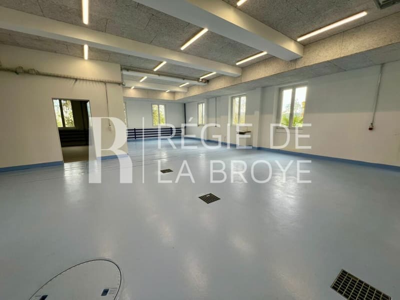 Locale - cauzione di ca. 140 m² a Bussy (3)