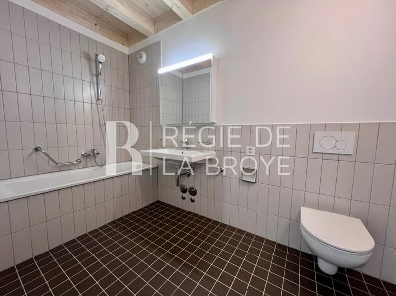 Neue 2,5-Zimmer-Wohnung in Estavayer-le-Lac (6)