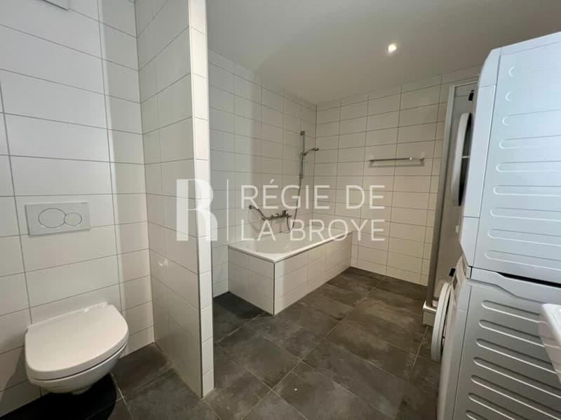 4.5-room apartment with large balcony in Chabrey (15)