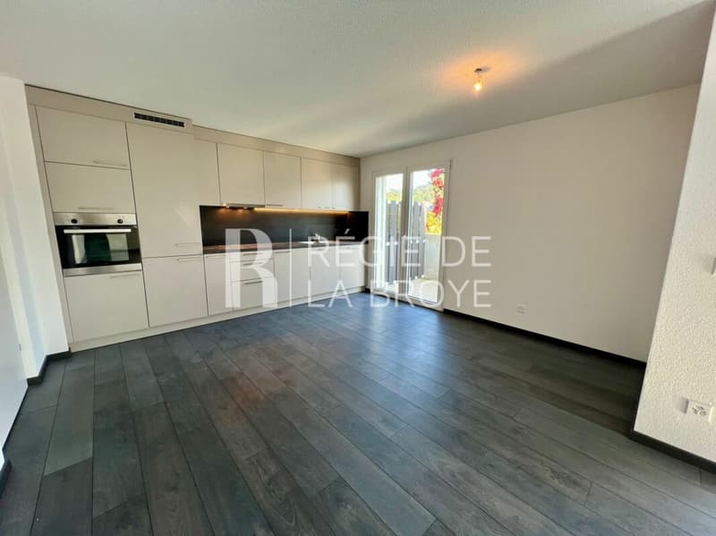 4.5-room apartment with large balcony in Chabrey (3)