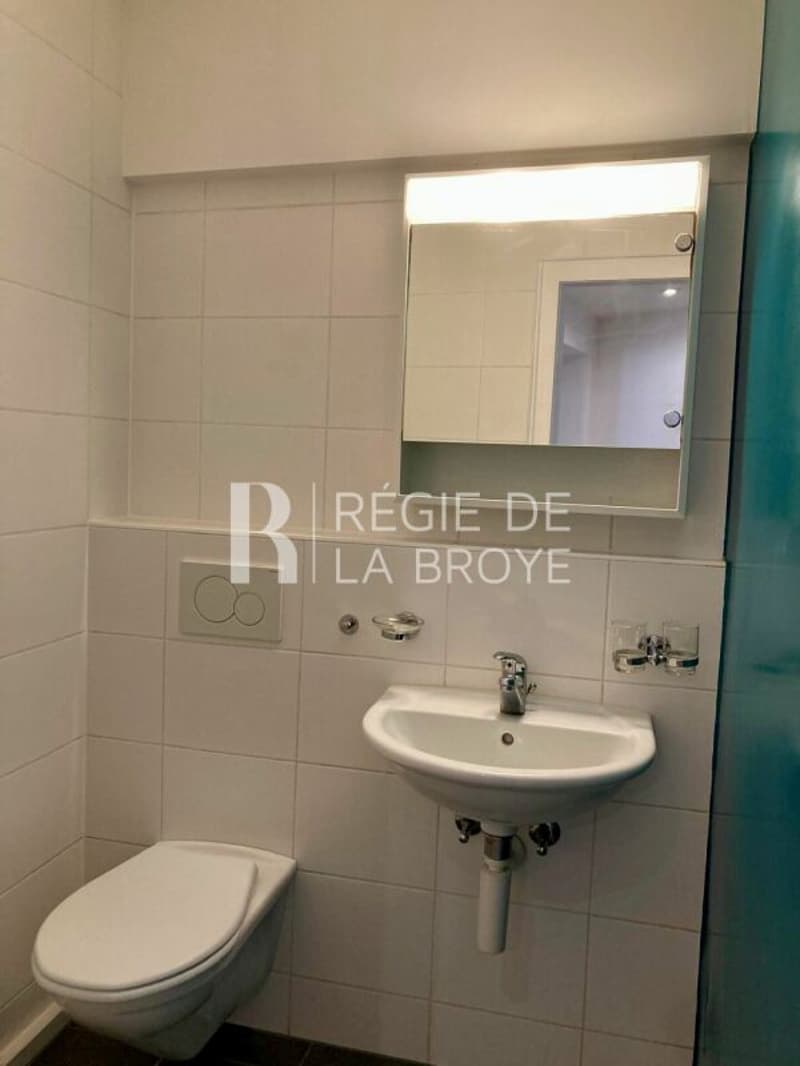 Appartamento di 2,5 locali ad Avenches (6)