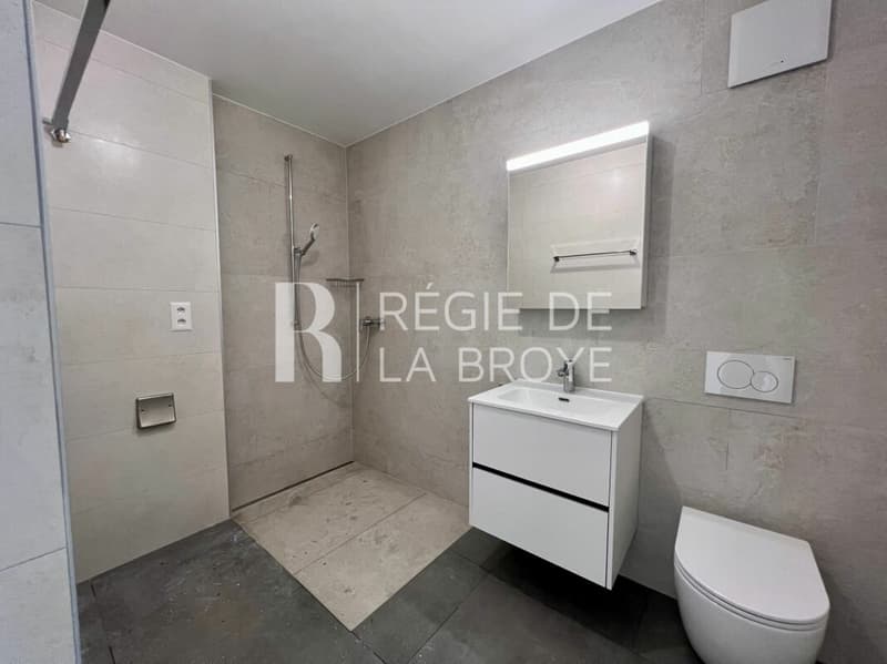 Neue 2.5-Zimmer-Wohnung in Léchelles (6)