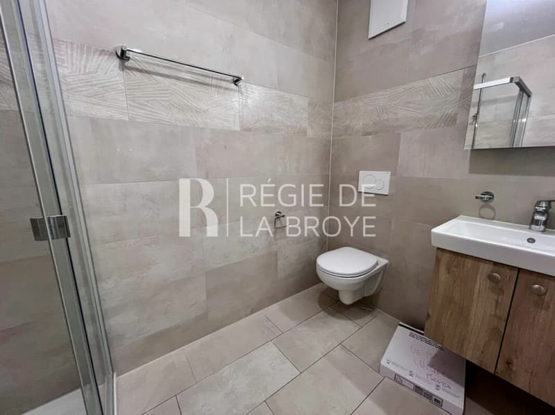 Neue 2.5-Zimmer-Wohnung in Léchelles (5)
