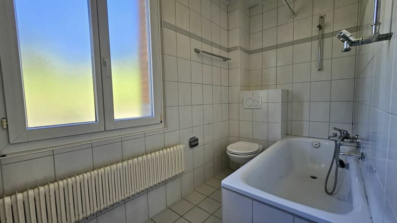 Appartement de 4.5 pièces à Rosé (9)