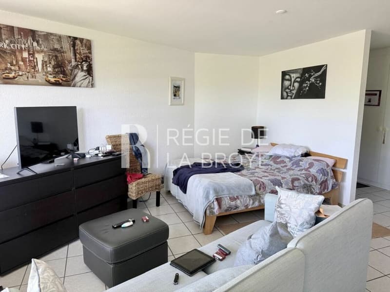 Appartement de 1.5 pièces à Hauteville (5)