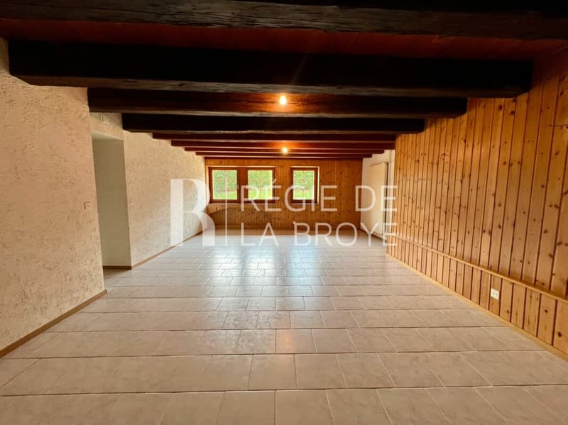 Appartement de 2.5 pièces à Montet (Broye) (2)