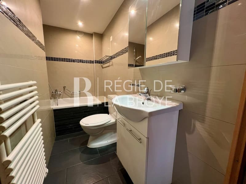 Appartement de 2.5 pièces à Montet (Broye) (8)