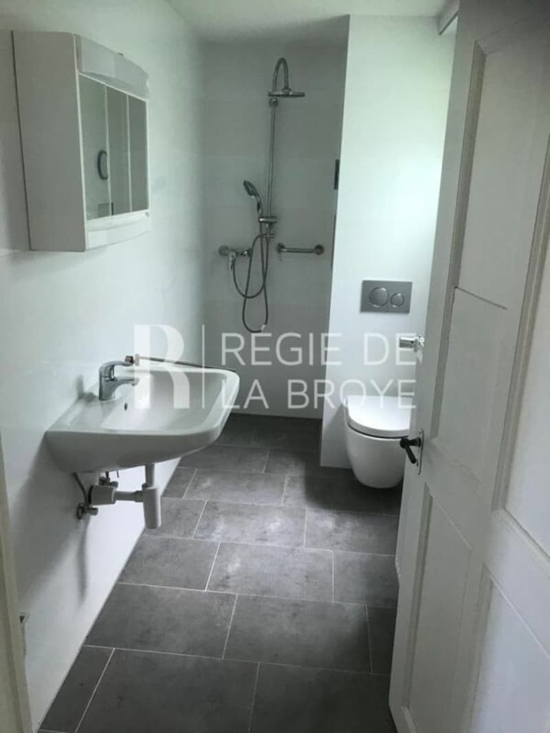 2.5 room apartment in Vallamand (5)