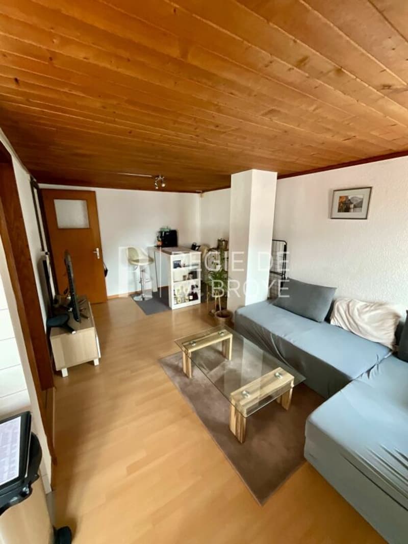 Appartement de 2.5 pièces à Montet (Broye) (2)