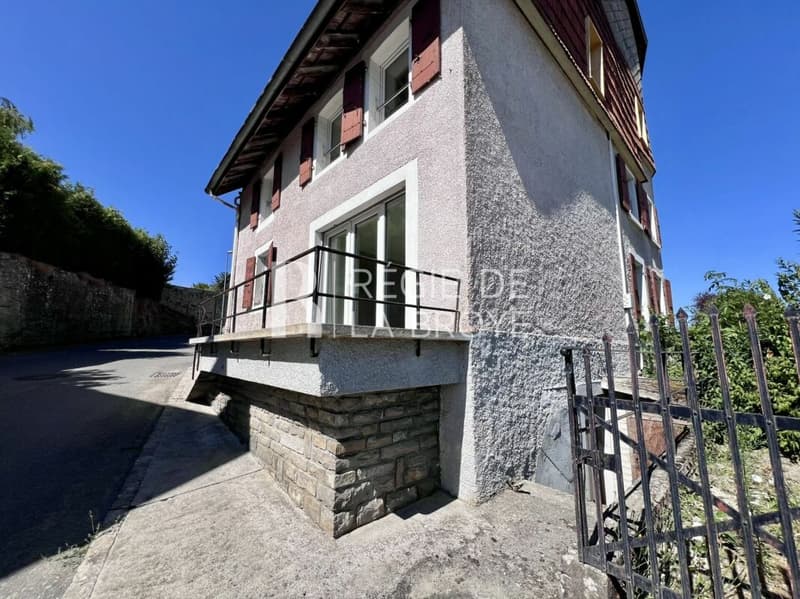 Appartamento 3.5 ristrutturato a Démoret (9)