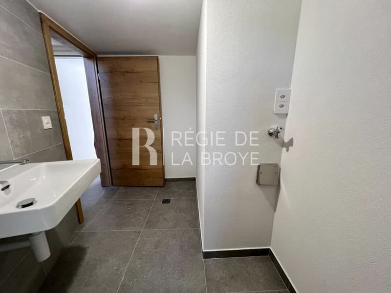 Appartamento ristrutturato di 4.5 locali a Démoret (10)