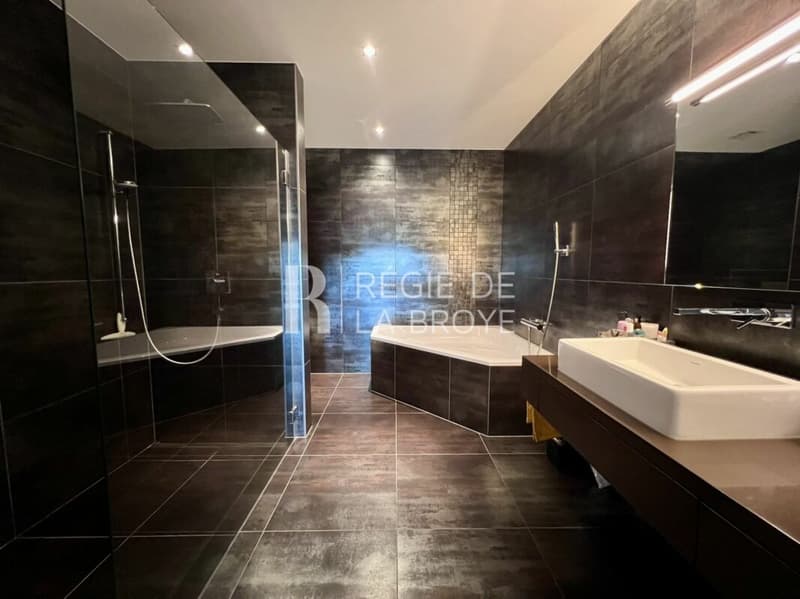 Appartement de standing 165 m² à Gampelen (12)