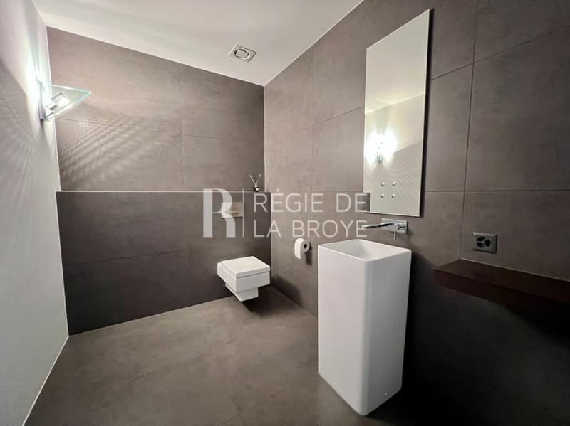 Appartement de standing 165 m² à Gampelen (15)