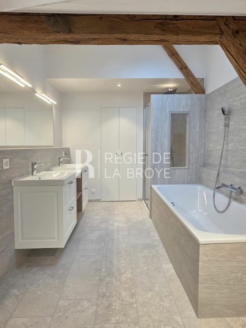 Spacieux 3,5 pièces dans les combles (8)